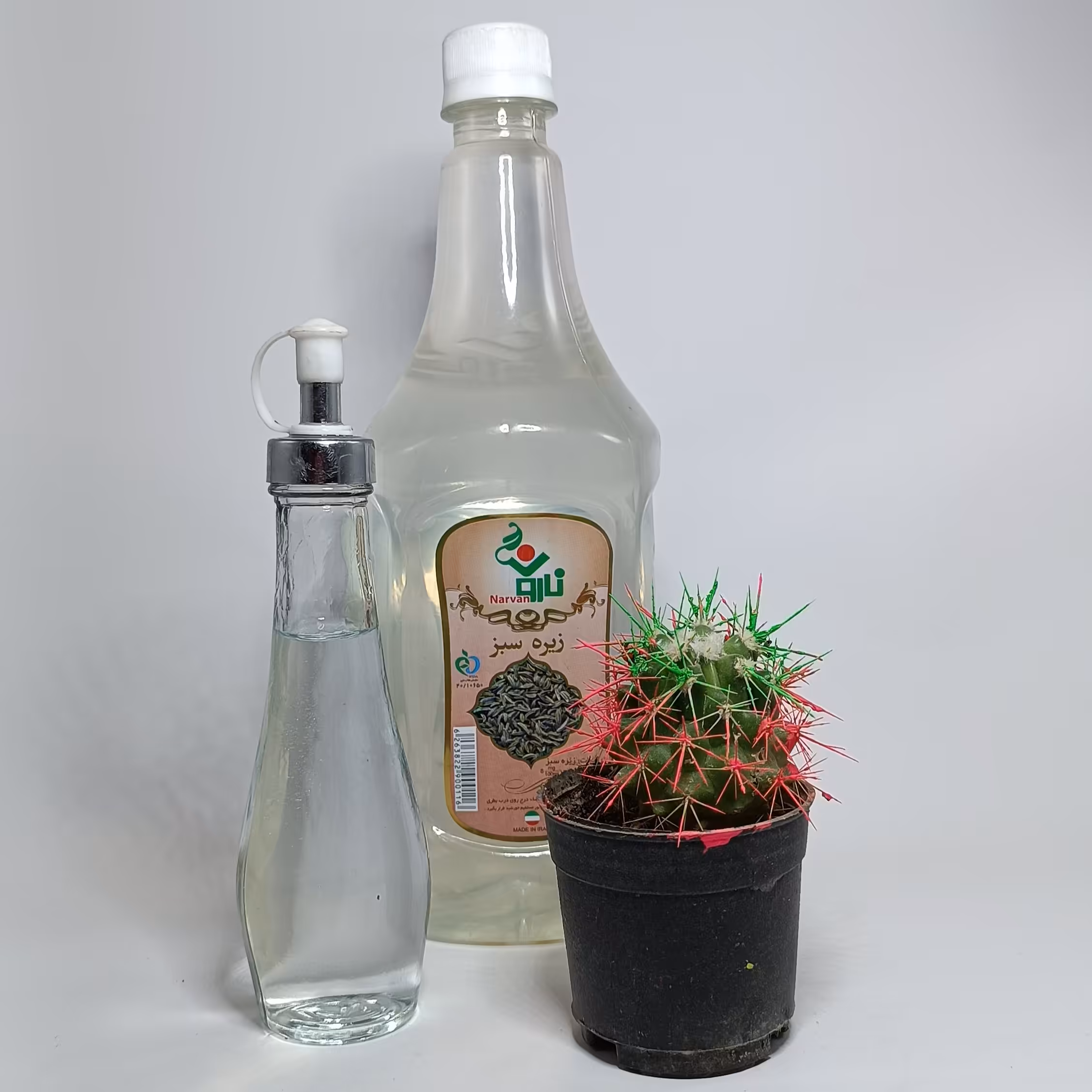 عرق زیره سبز (سبک زندگی و طب اسلامی شیعی )