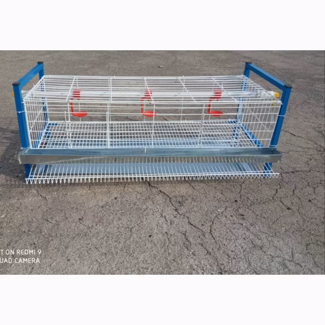 قفس بلدرچین تخمگذار