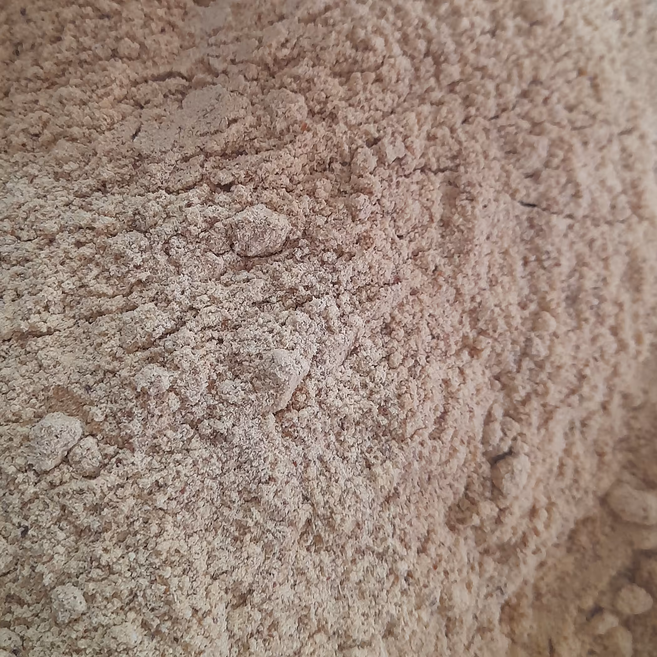 پودر سنجد با هسته  یک کیلویی آسیاب شده خوشمزه  خانگی بسیار مقوی و موثر