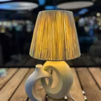 آباژور دوقلو