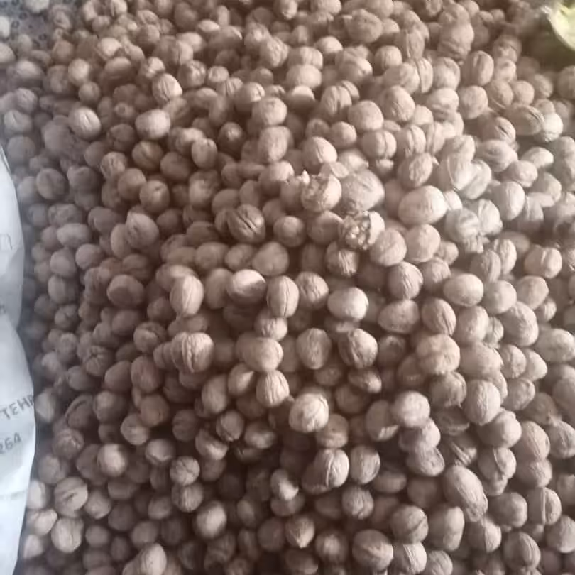 گردو پوست کاغذی ایرانی 