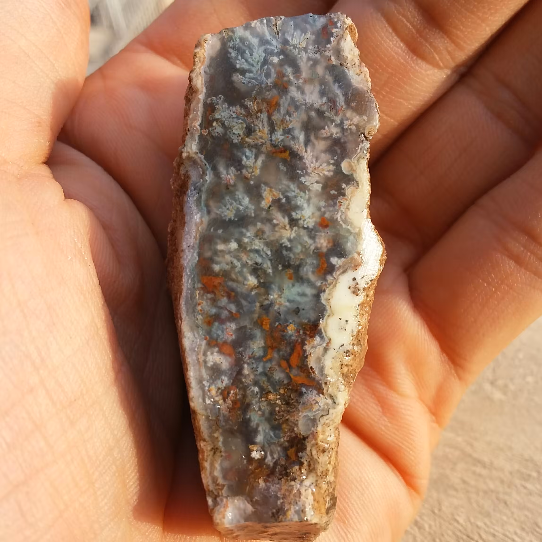 اسلایس سنگ راف شجر شکوفه 7رنگ بسیااااار زیبا و محشر خارق العاده 100 در 100 طبیعی شاهکار خلقت تابلو نقاشی طبیعی دیدنییییی