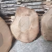 برش کالباسی چوب گردوی شهمیرزاد  قطر  70 چوب گردو  ضخامت 5 سانت نم دار 