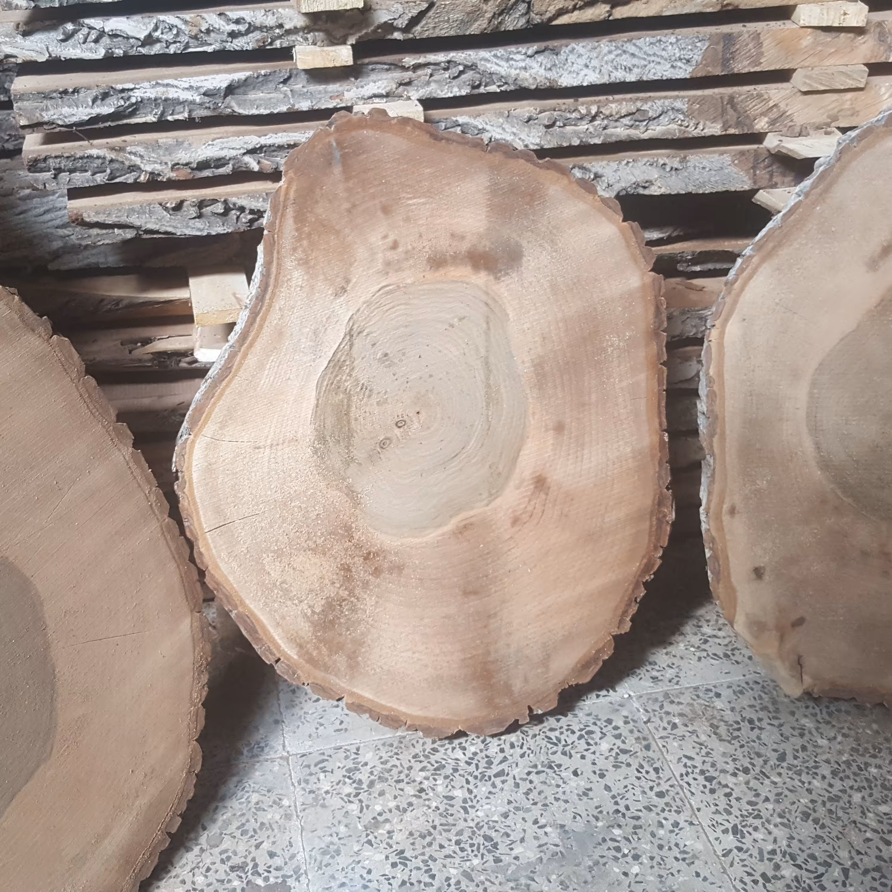 برش کالباسی چوب گردوی شهمیرزاد  قطر  70 چوب گردو  ضخامت 5 سانت نم دار 