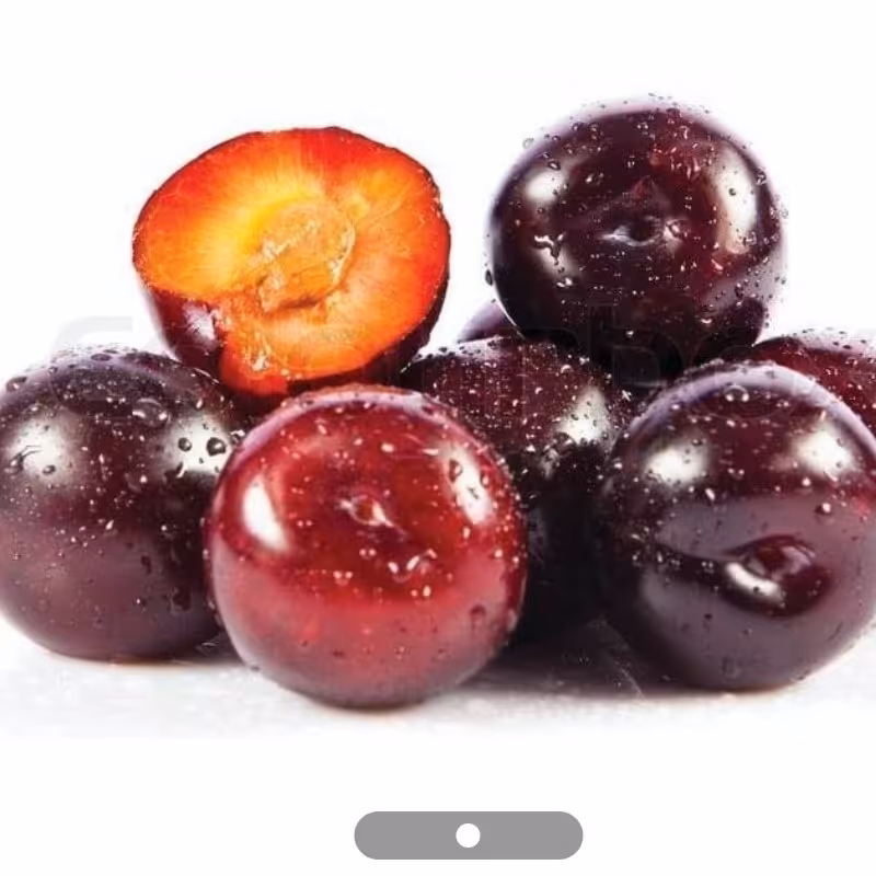 نهال الو قرمز