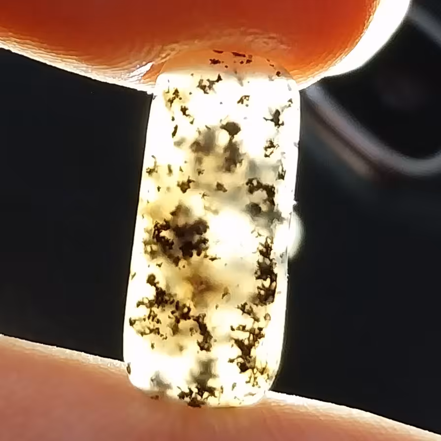 نگین شجرر سیاه پرگل زیبا