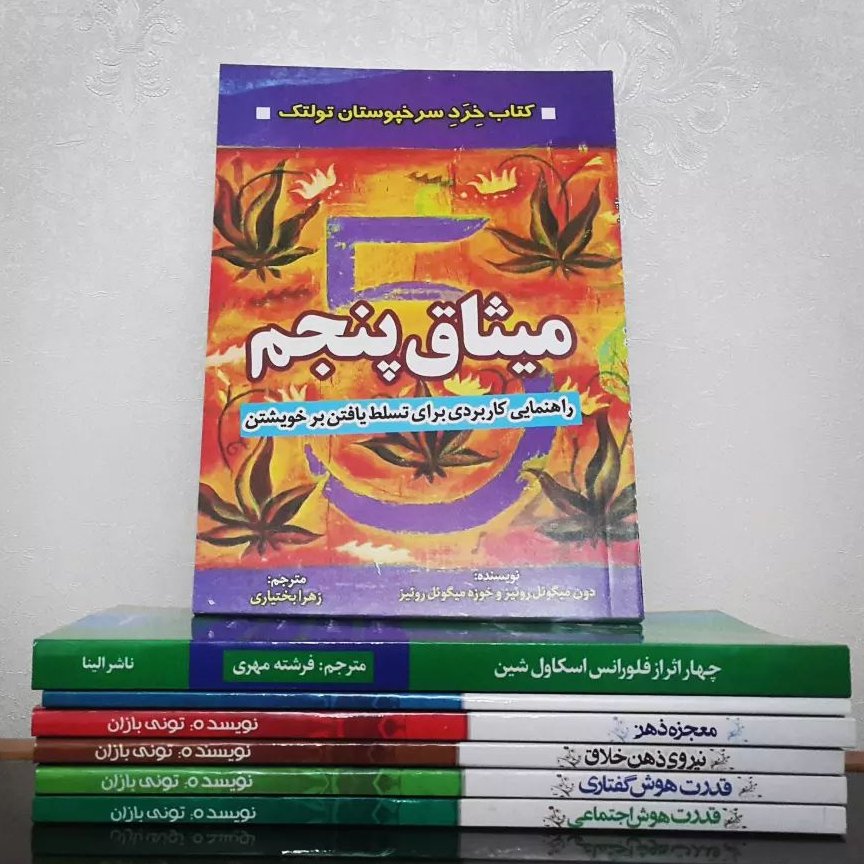 پنج میثاق نوشته ی دون میگوئل روئیز