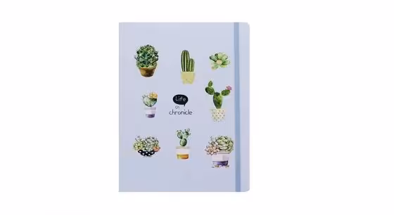 دفترچه طرح کاکتوس