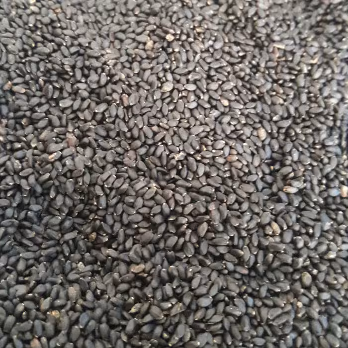 تخم شربتی درشت(75گرم)
عطاری ثامن