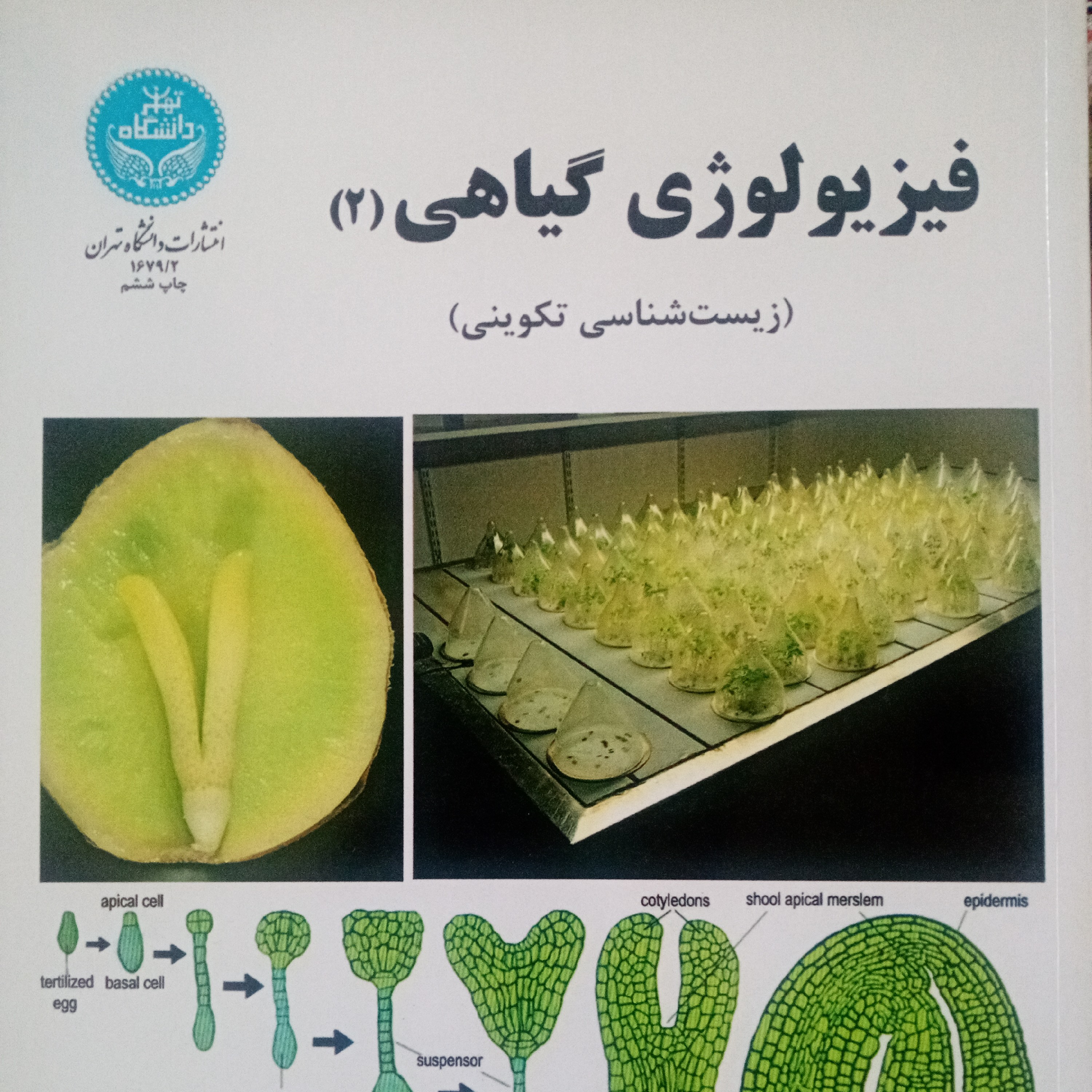 فیزیولوژی گیاهی 2 زیست شناسی تکوینی