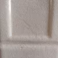 پودر نارگیل 100گرمی