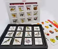 پازل هوش چین مکعب های باهوش