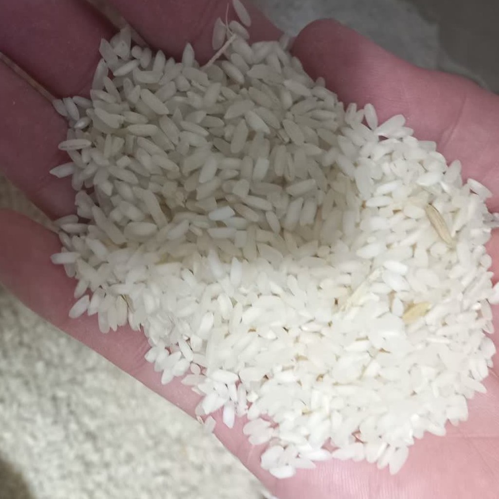 برنج چمپا محلی خوش طعم و خوش پخت رامهرمز 20 کیلوگرمی امسال
