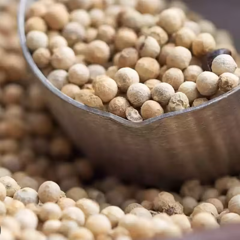 فلفل سفید دانه اعلا 100 گرمی