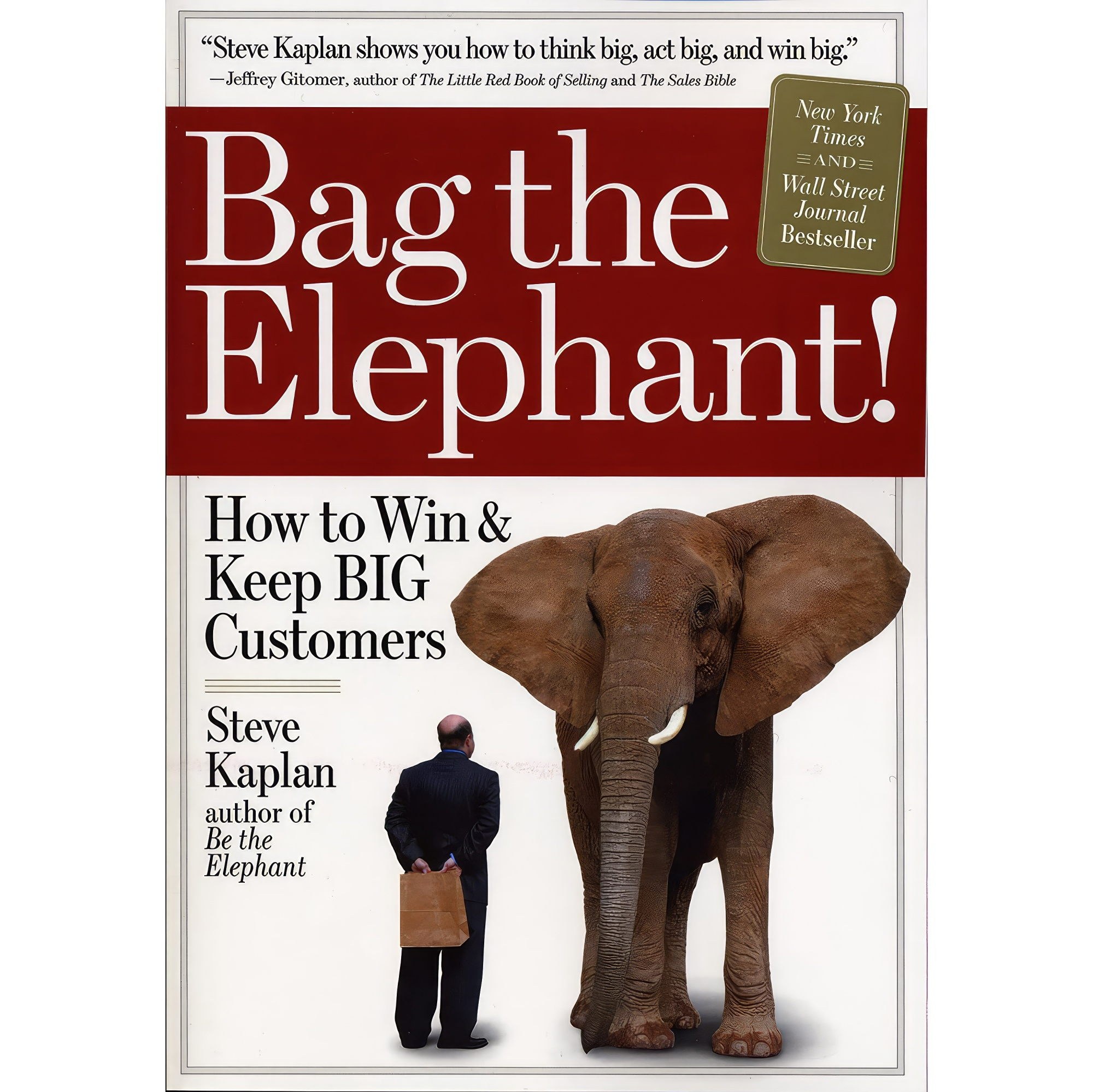 کتاب زبان اصلی Bag the Elephant اثر Steve Kaplan