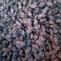 مویز انگور درجه 1