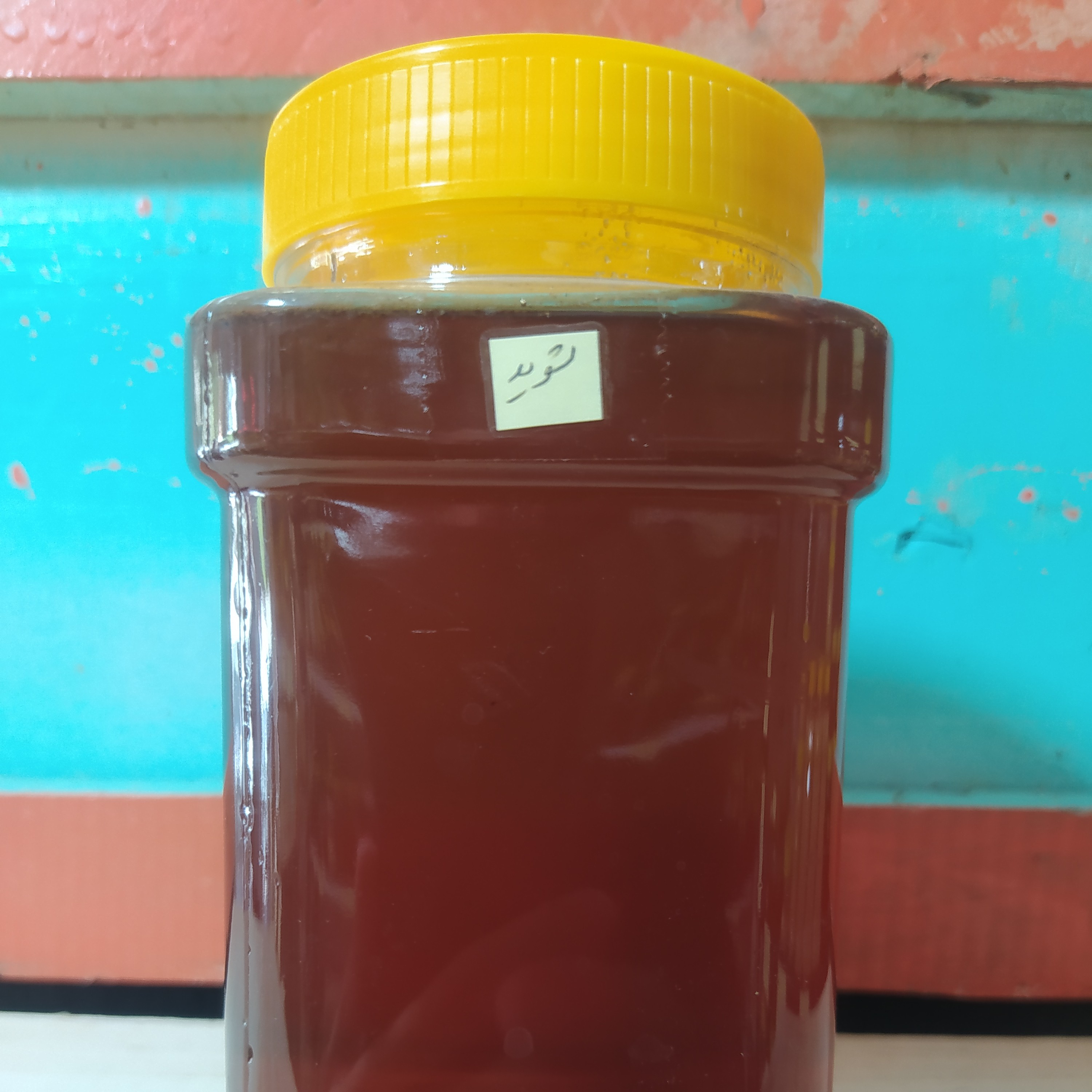 عسل گیاه شوید یک کیلویی