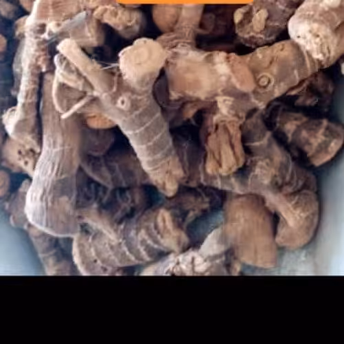 قلنجان (1کیلویی)  