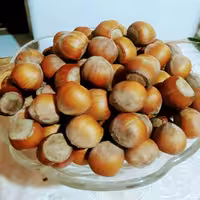 فندوق  درشت  ییلاق اشکورگیلان 