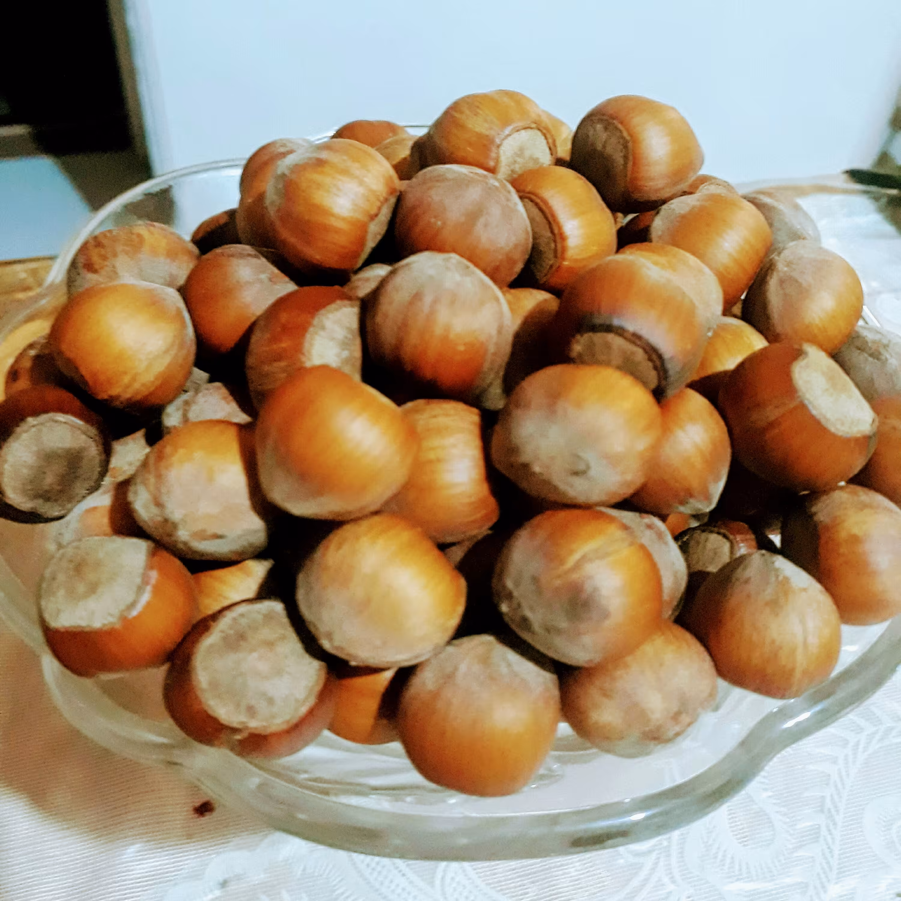 فندوق  درشت  ییلاق اشکورگیلان 