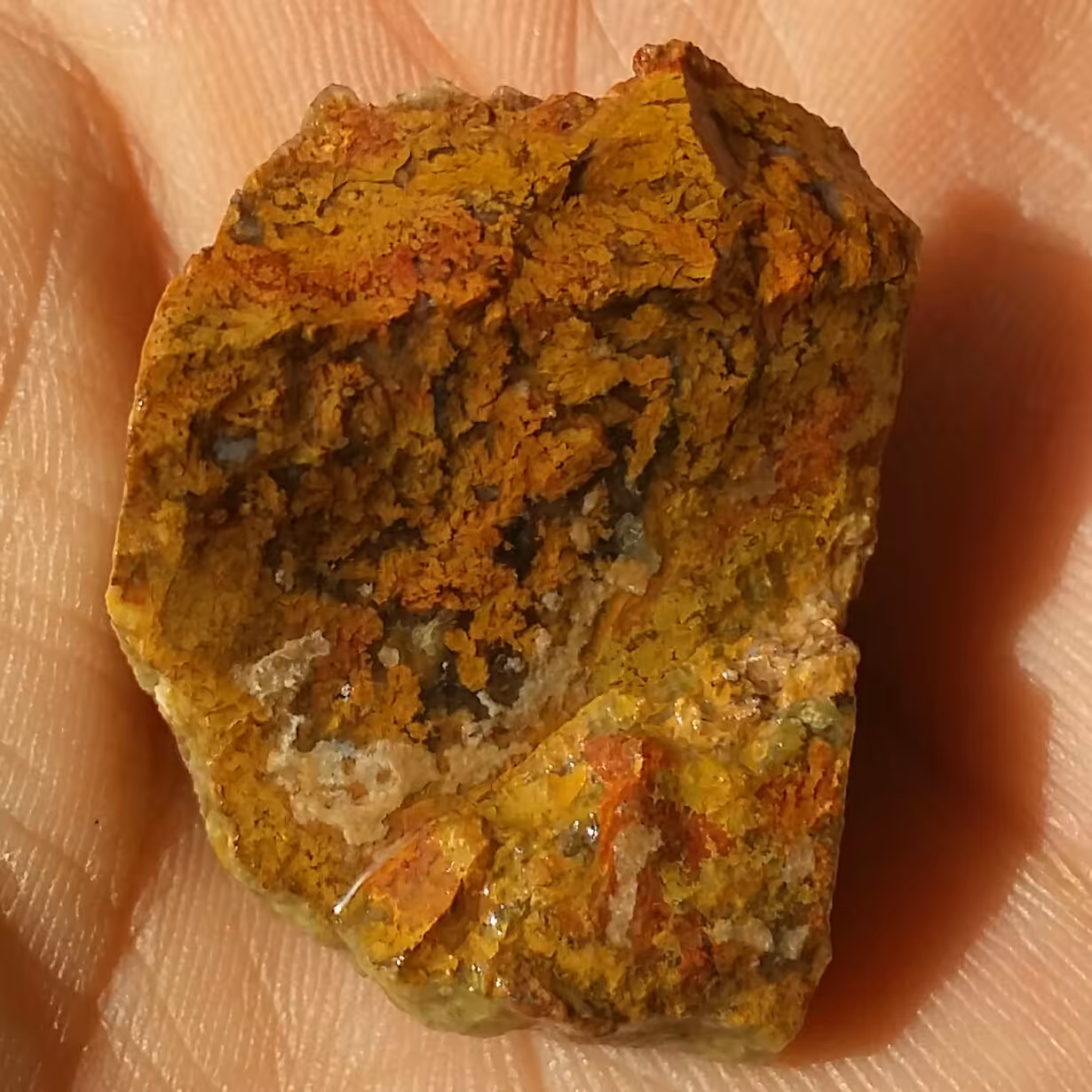 سنگ راف شجر پاییزی بی نظیر دیدنی 100درصد طبیعی محشر خاااص