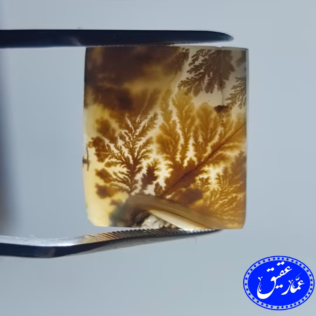 نگین عقیق شجر تراش چهارگوش قائن