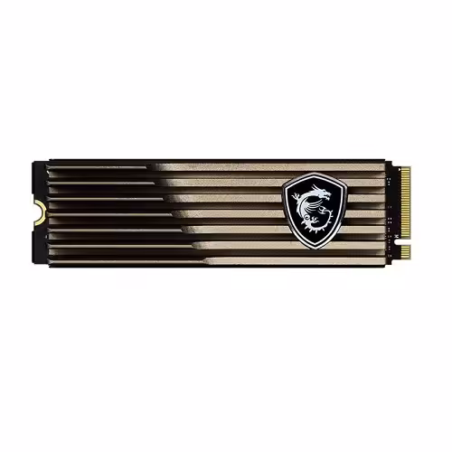 حافظه SSD ام اس آی مدل MSI SPATIUM M460 HS حافظه 1 ترابایت