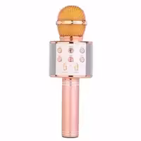 میکروفون اسپیکر دار