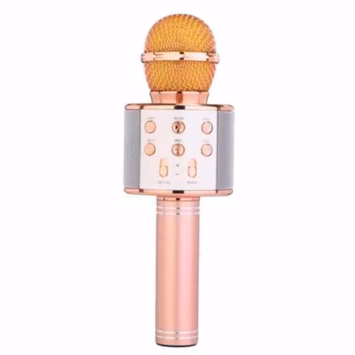 میکروفون اسپیکر دار