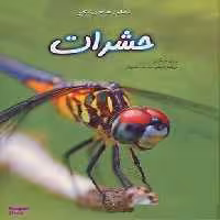 کتاب دنیای هیجان انگیز حشرات اثر رزی دیکینز انتشارات نوشته