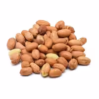 بادام زمینی یا پسته شامی چرب و خوش طعم نمکی آستانه اشرفیه یک کیلویی مسیحا