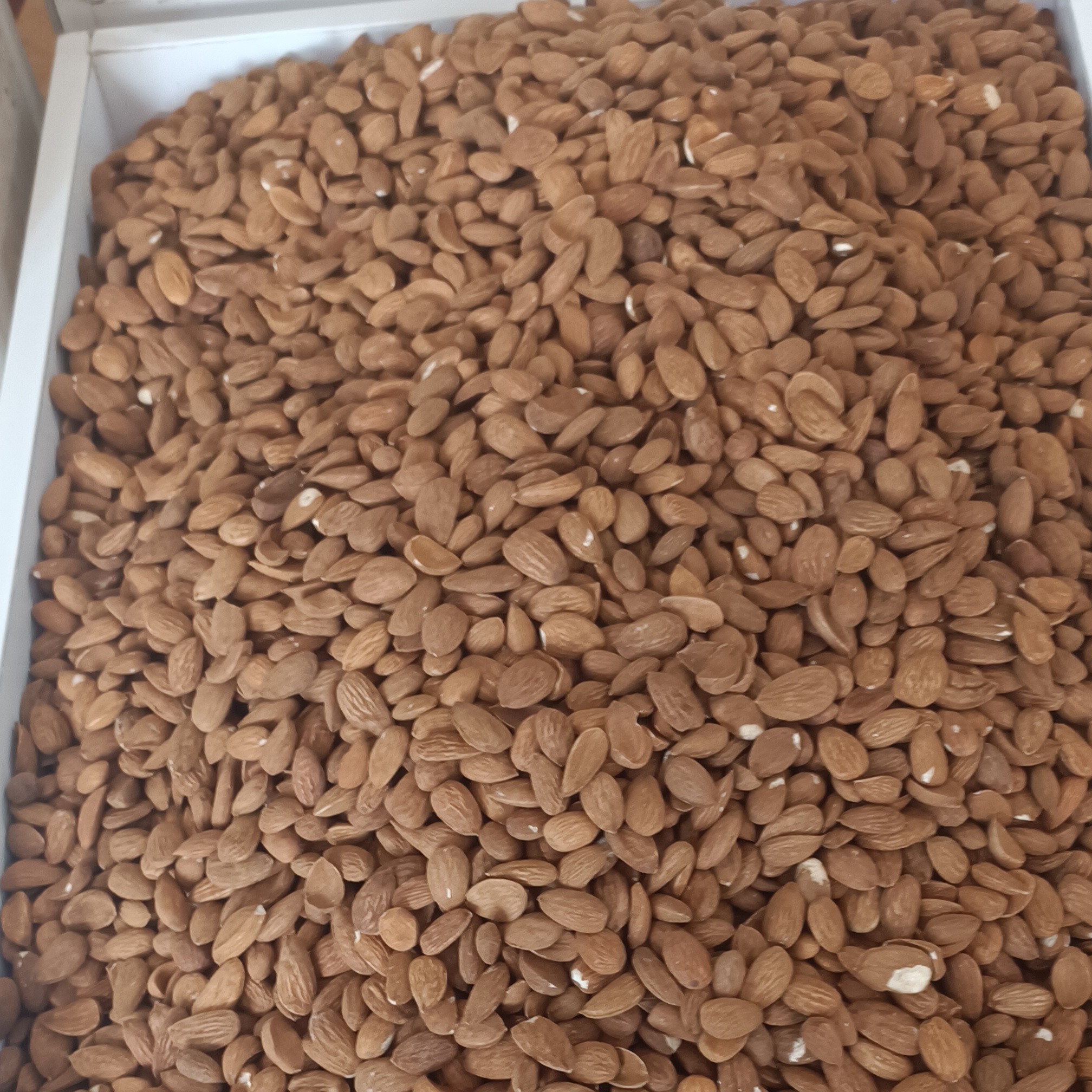 مغز بادام درختی ایرانی ممتاز 500 گرم 265