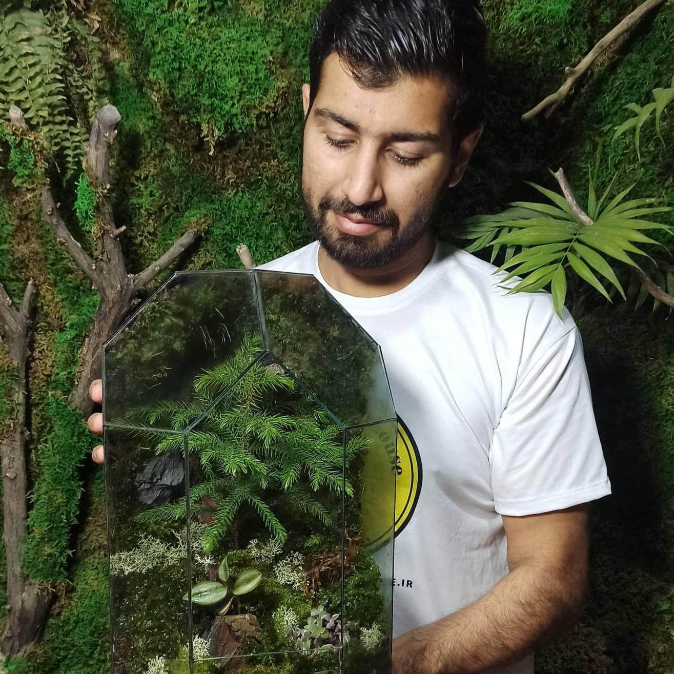 تراریوم مدل گنبدی