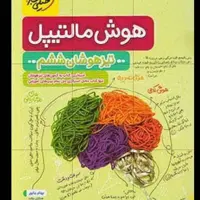 کتاب هوش مالتیپل تیزهوشان ششم به هفتم چاپ 1401انتشارات خیلی سبز