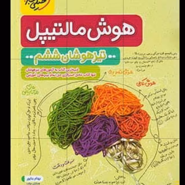 کتاب هوش مالتیپل تیزهوشان ششم به هفتم چاپ 1401انتشارات خیلی سبز