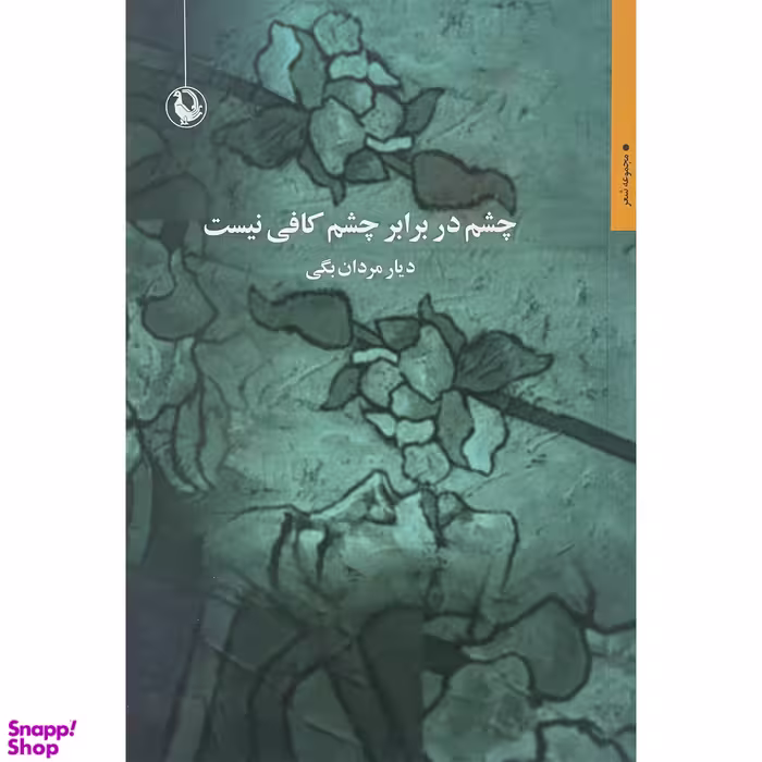 کتاب چشم در برابر چشم كافی نيست اثر ديار مردان بگی انتشارات مرواريد