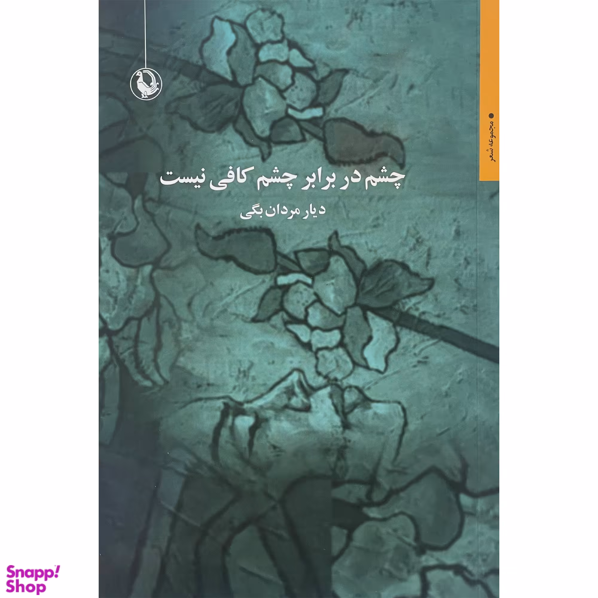 کتاب چشم در برابر چشم كافی نيست اثر ديار مردان بگی انتشارات مرواريد
