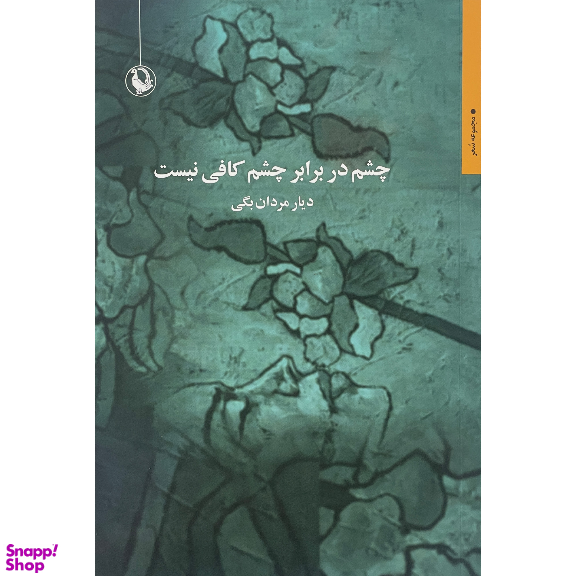 کتاب چشم در برابر چشم كافی نيست اثر ديار مردان بگی انتشارات مرواريد
