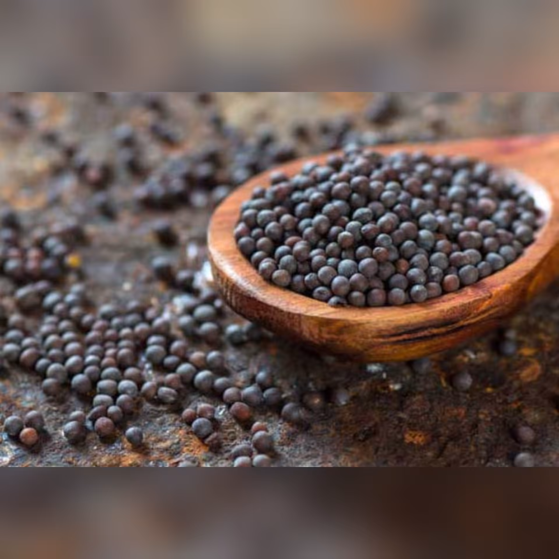 خردل سیاه 100 گرم