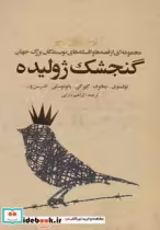 قیمت و خرید کتاب گنجشک ژولیده اثر لئو نیکلایویچ تولستوی و دیگران | ایده بوک