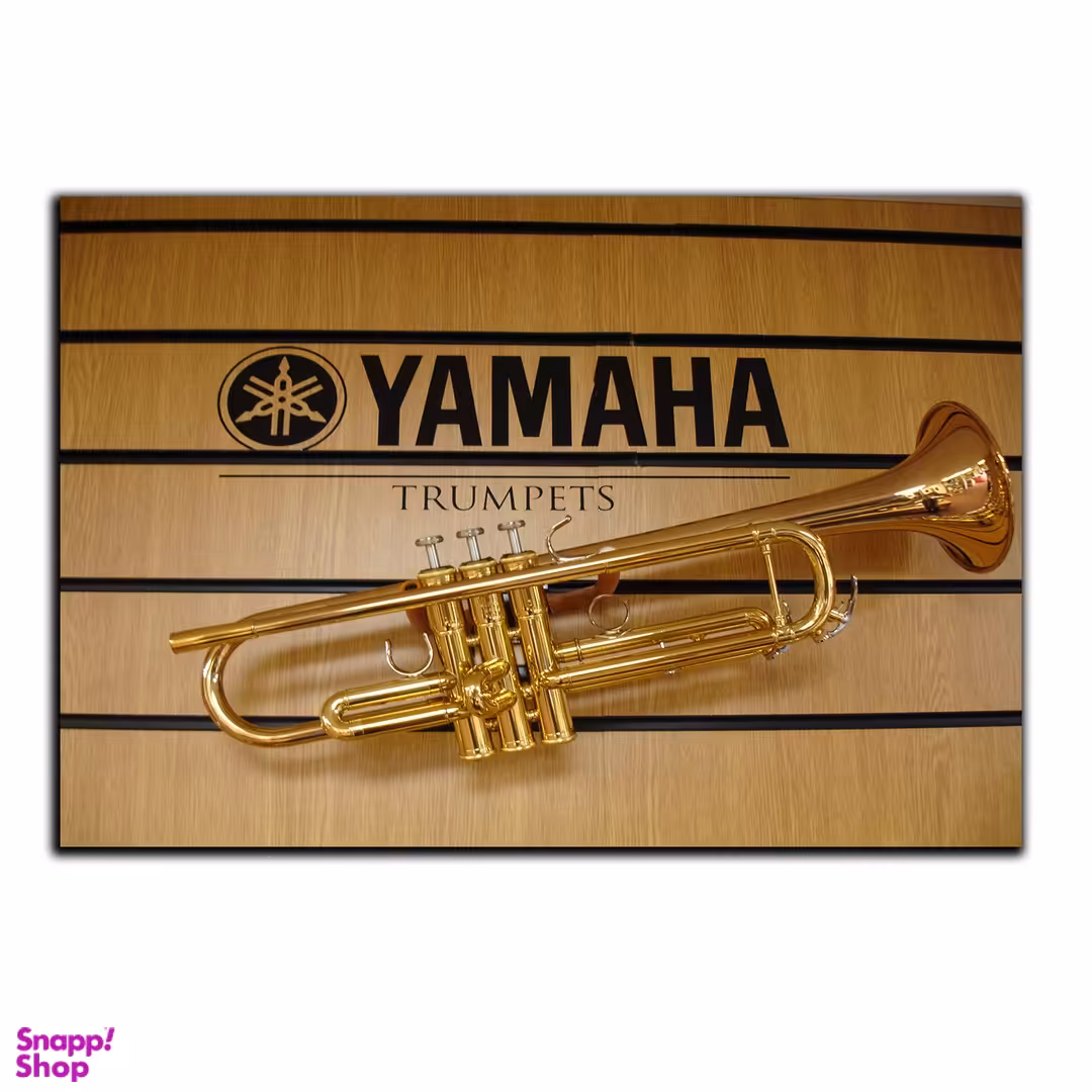 تابلو شاسی بکلیت طرح ساز بادی ترومپت مدل SH-5845