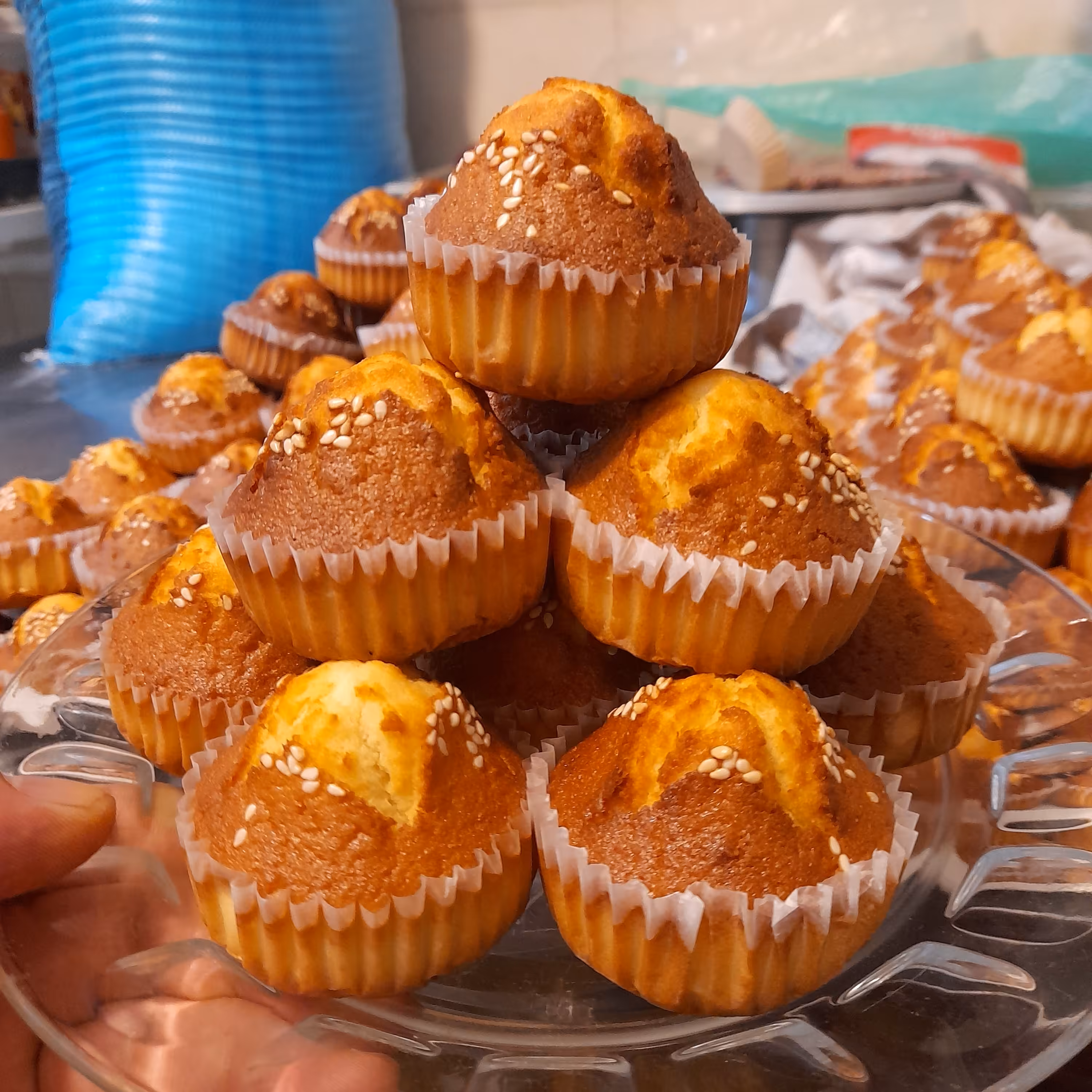 کیک یزدی درجه یک با انواع طعم ها - (500 گرم)      کیک یزدی اصیل یزدی