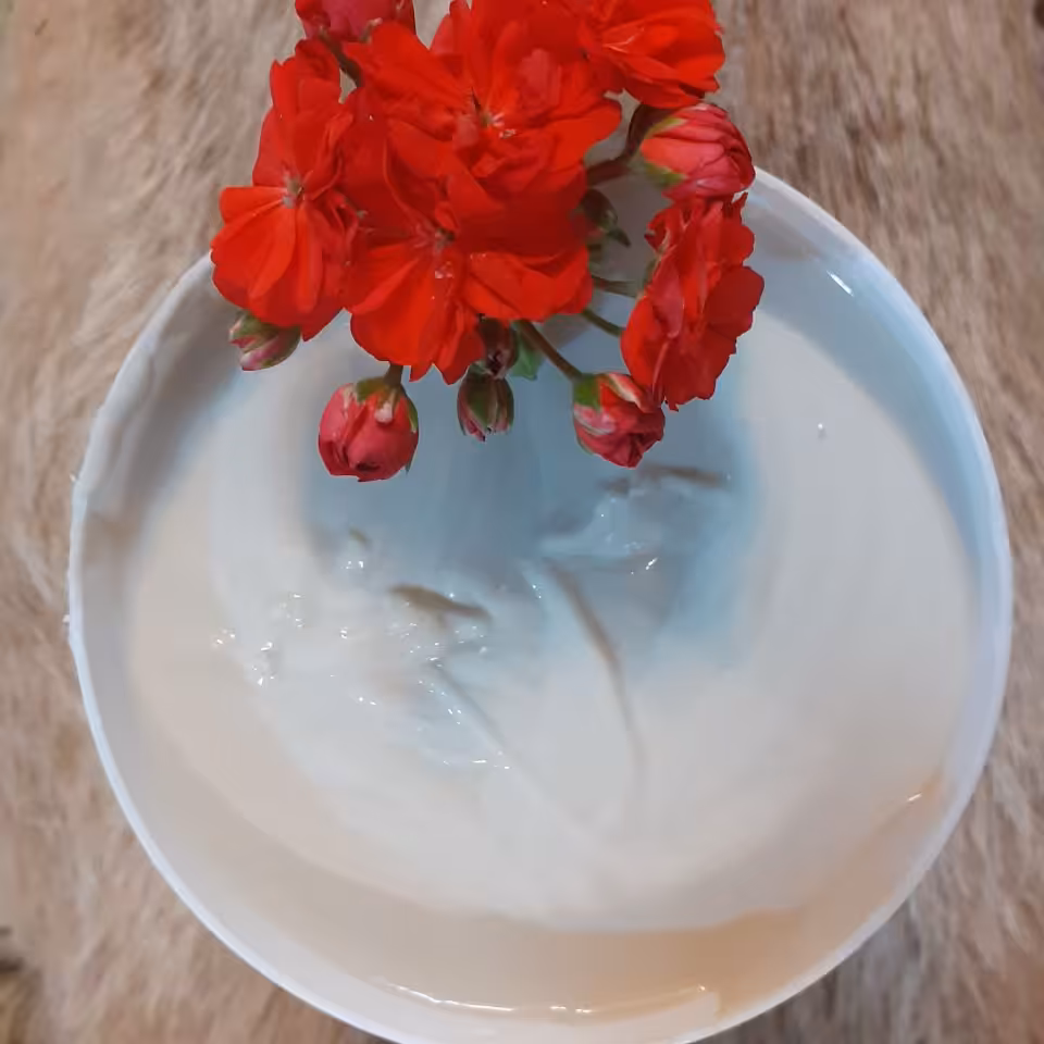 کرم  حلزون