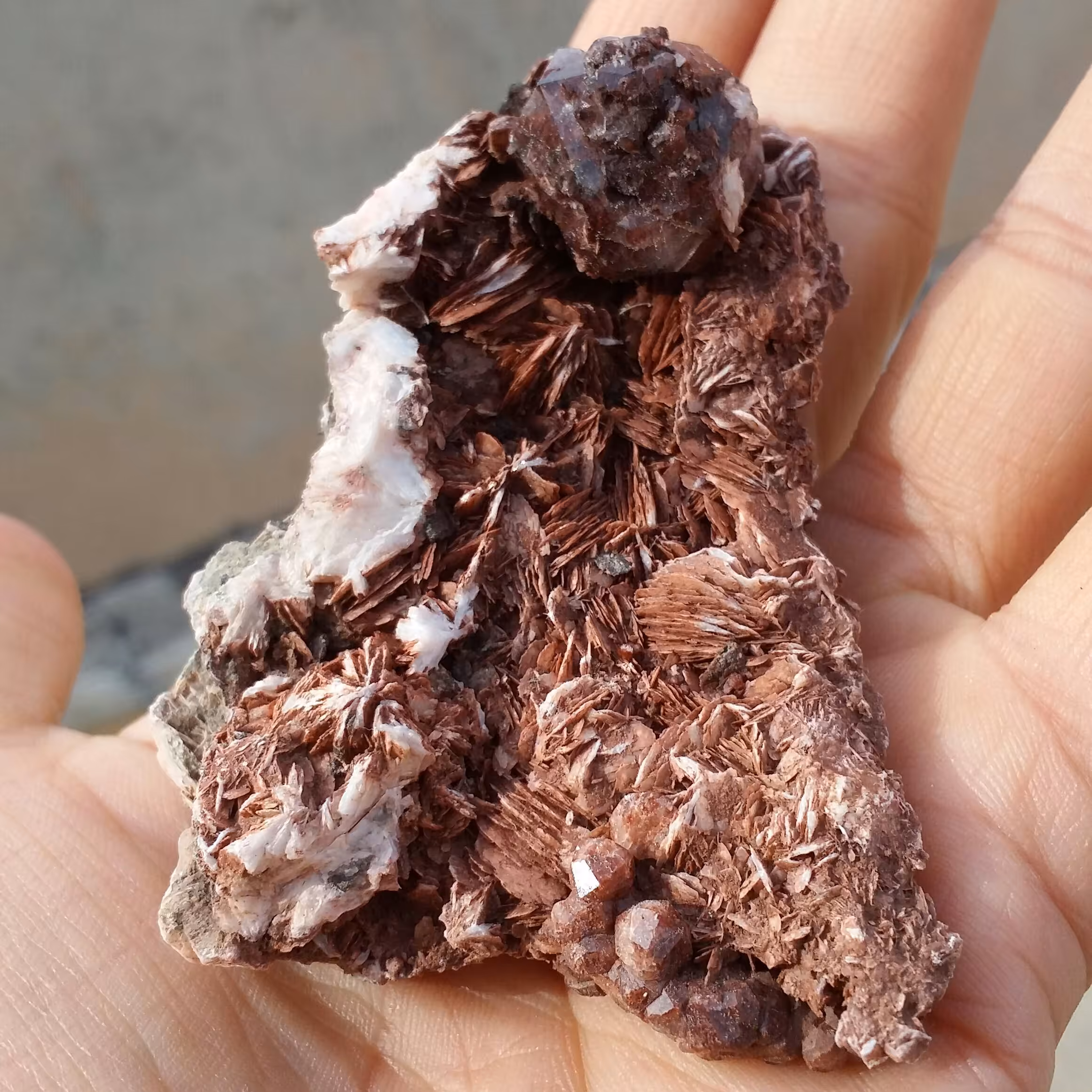 نمونه فوق کلکسیونی آنالیسم بلور بسیار درشت روی بستر باریت محشر تکرار نشدنی 100 در 100 طبیعی خارق العاده و تک
کد 8323
