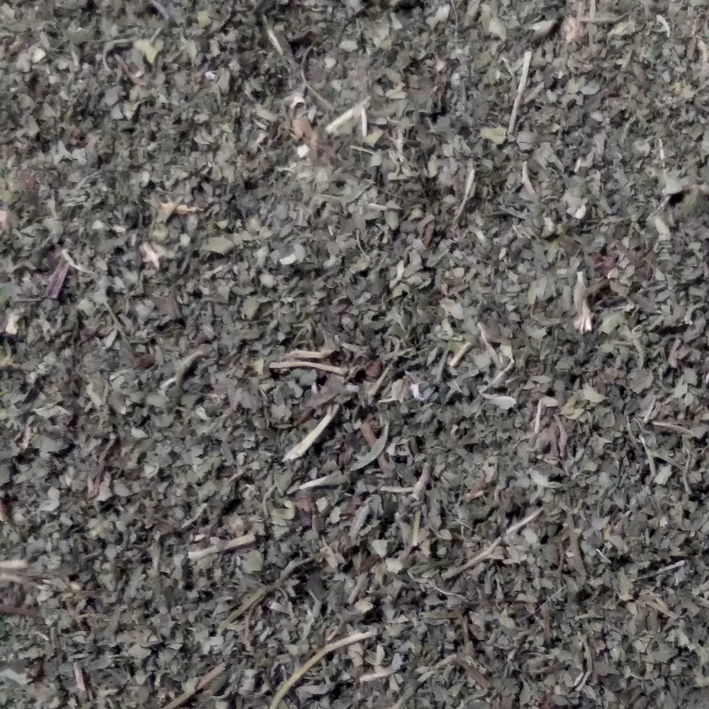 نعنا خشک با ارسال رایگان 100 گرم