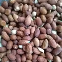 بادام زمینی بو داده تازه دو کیلویی