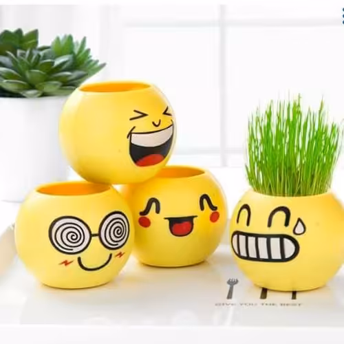 گلدان سبزه ایموجی یک عدد بدون سبزه