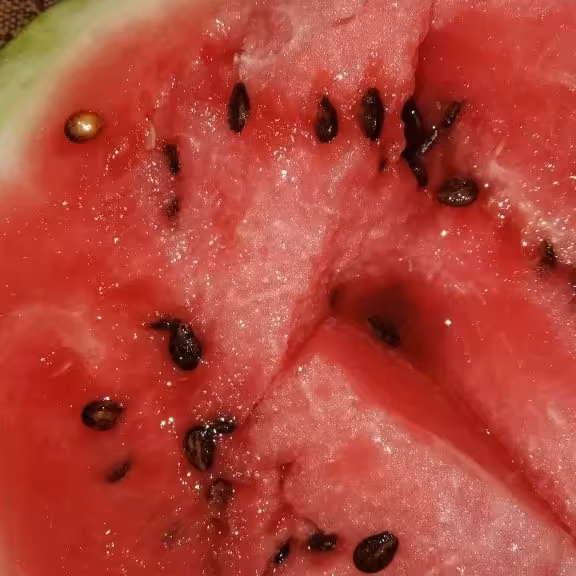 بذرهندوانه مینابی اعلا1خطی 10گرمی