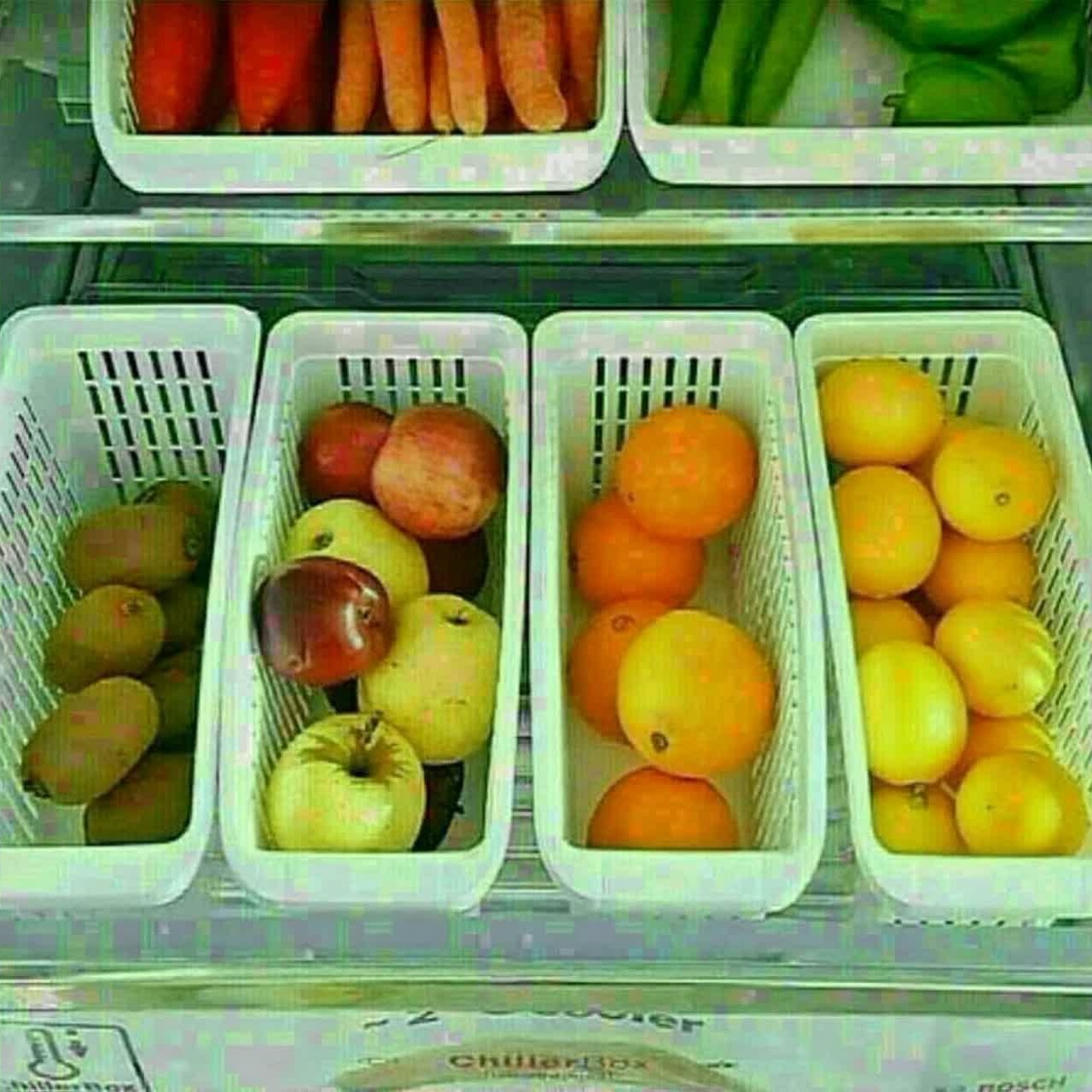 سبدچند منظوره نظم دهنده اصلی