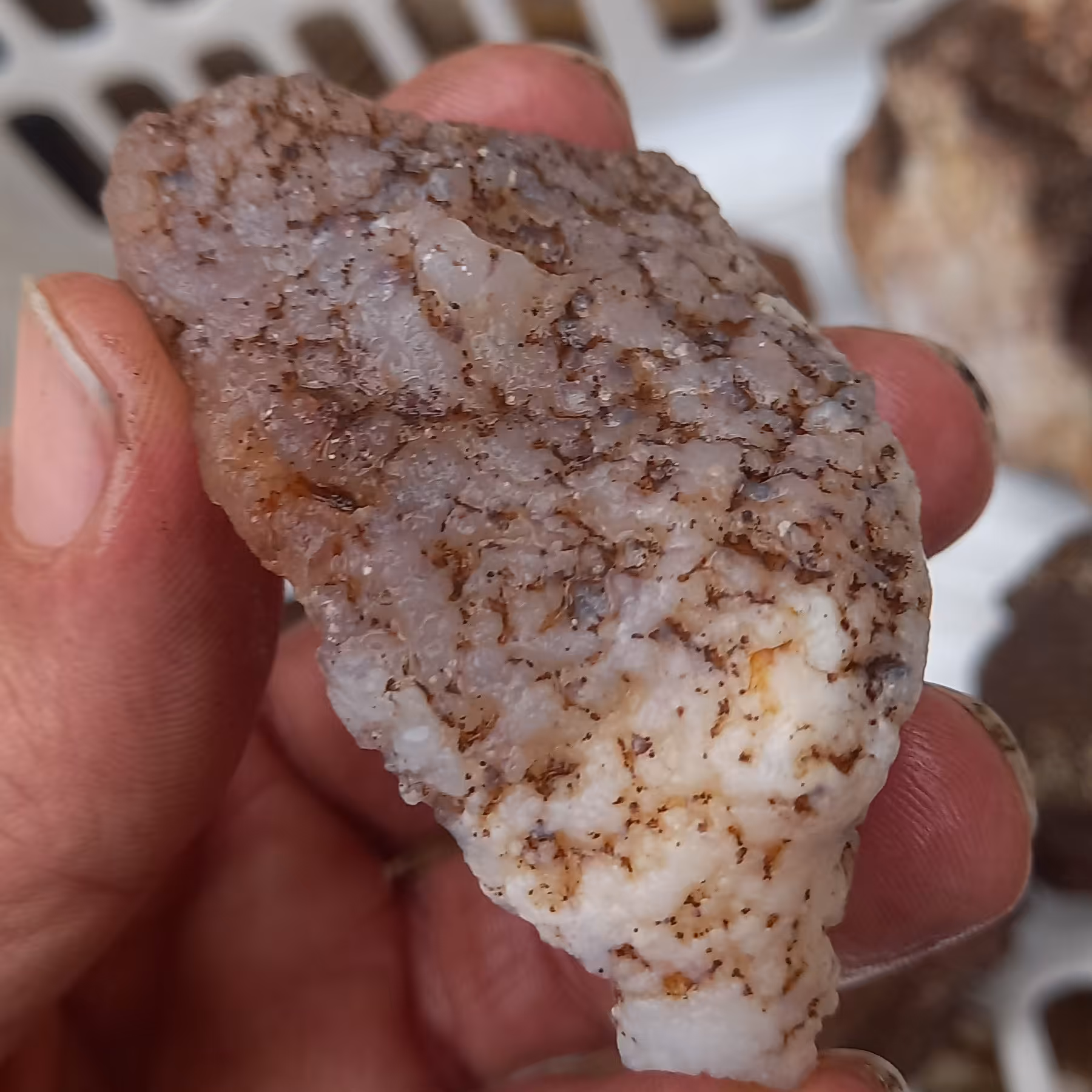 راف عقیق ناب کاشون کلکسیونی